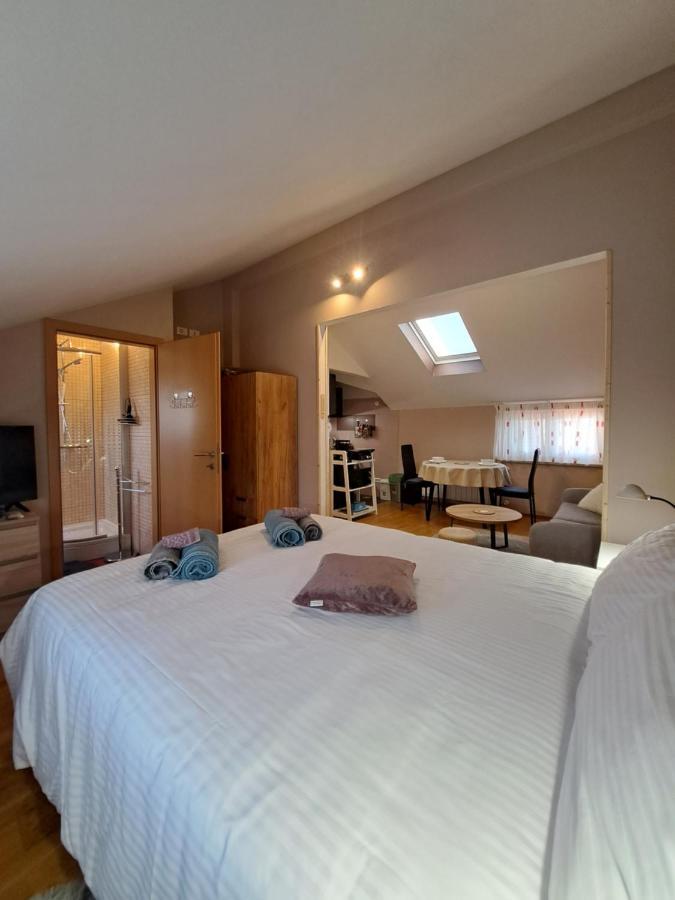 Casa Antonio With Swimming Pool Appartement Novigrad Istria Buitenkant foto