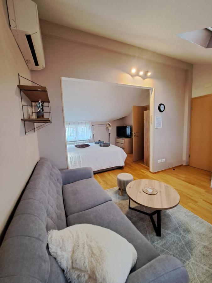 Casa Antonio With Swimming Pool Appartement Novigrad Istria Buitenkant foto