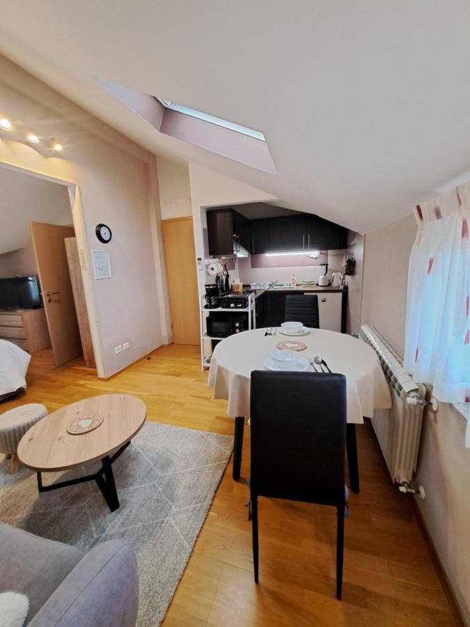 Casa Antonio With Swimming Pool Appartement Novigrad Istria Buitenkant foto