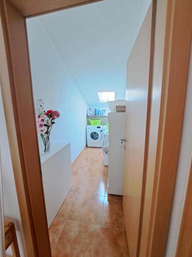 Casa Antonio With Swimming Pool Appartement Novigrad Istria Buitenkant foto